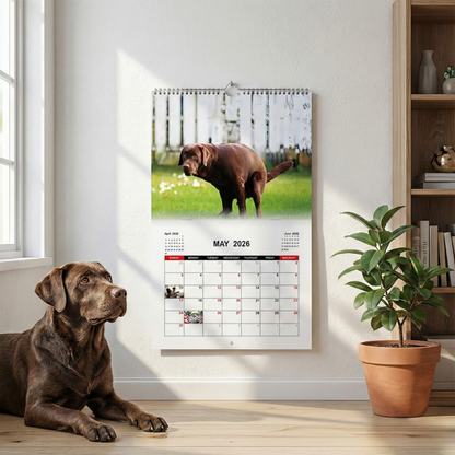 Dogs Calendar 2026